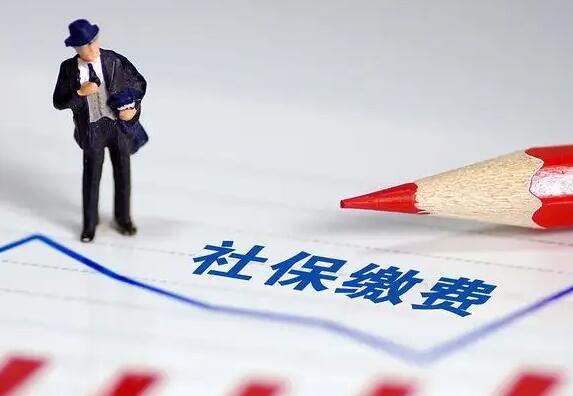 资质标准要求提供的社保证明是指哪些材料?